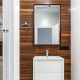 Joey Modern Wood Medicine Cabinet with Mirror