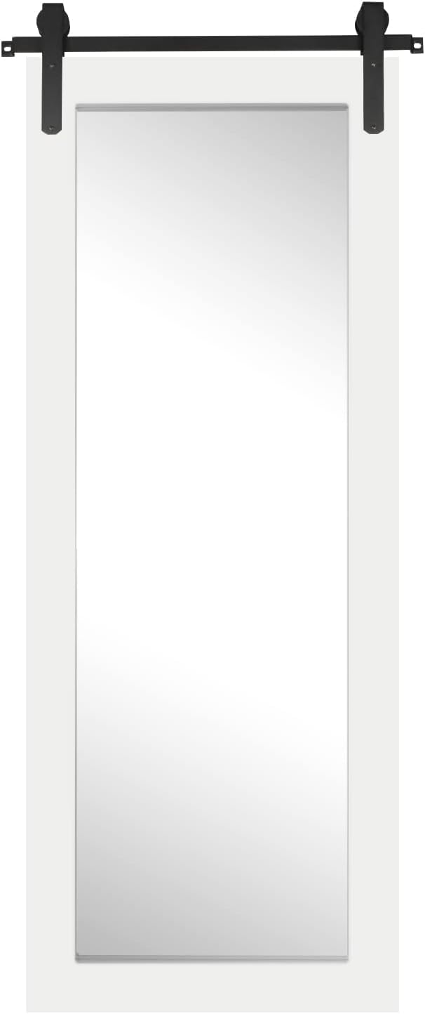 Jones Modern Barn Door Wall Mirror